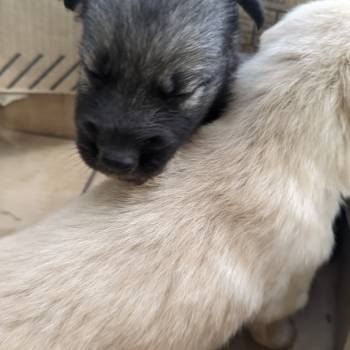 Você Pode Dá imagem 3 - 