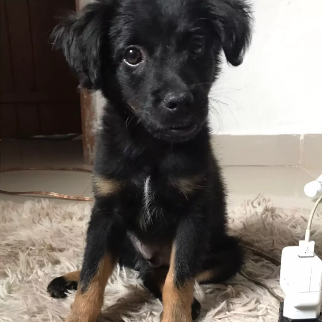 Bob Marley - Sem Raça Definida