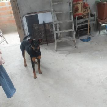 Black imagem 1 - 