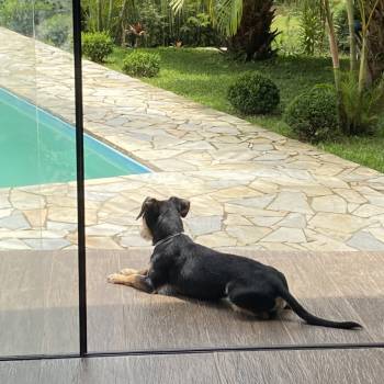 Fred imagem 3 - 