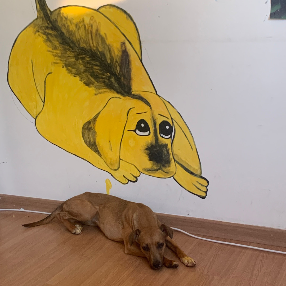 Cloy E Aurora imagem 2 - Sem Raça Definida