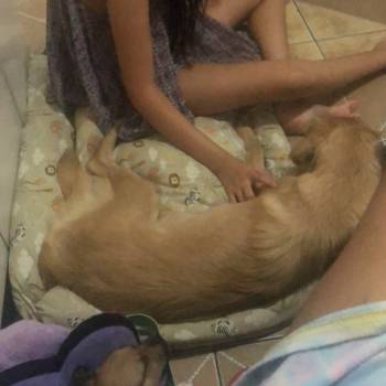 Luna imagem 3 - 