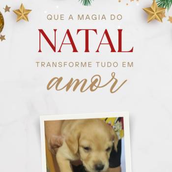 Medio imagem 1 - 