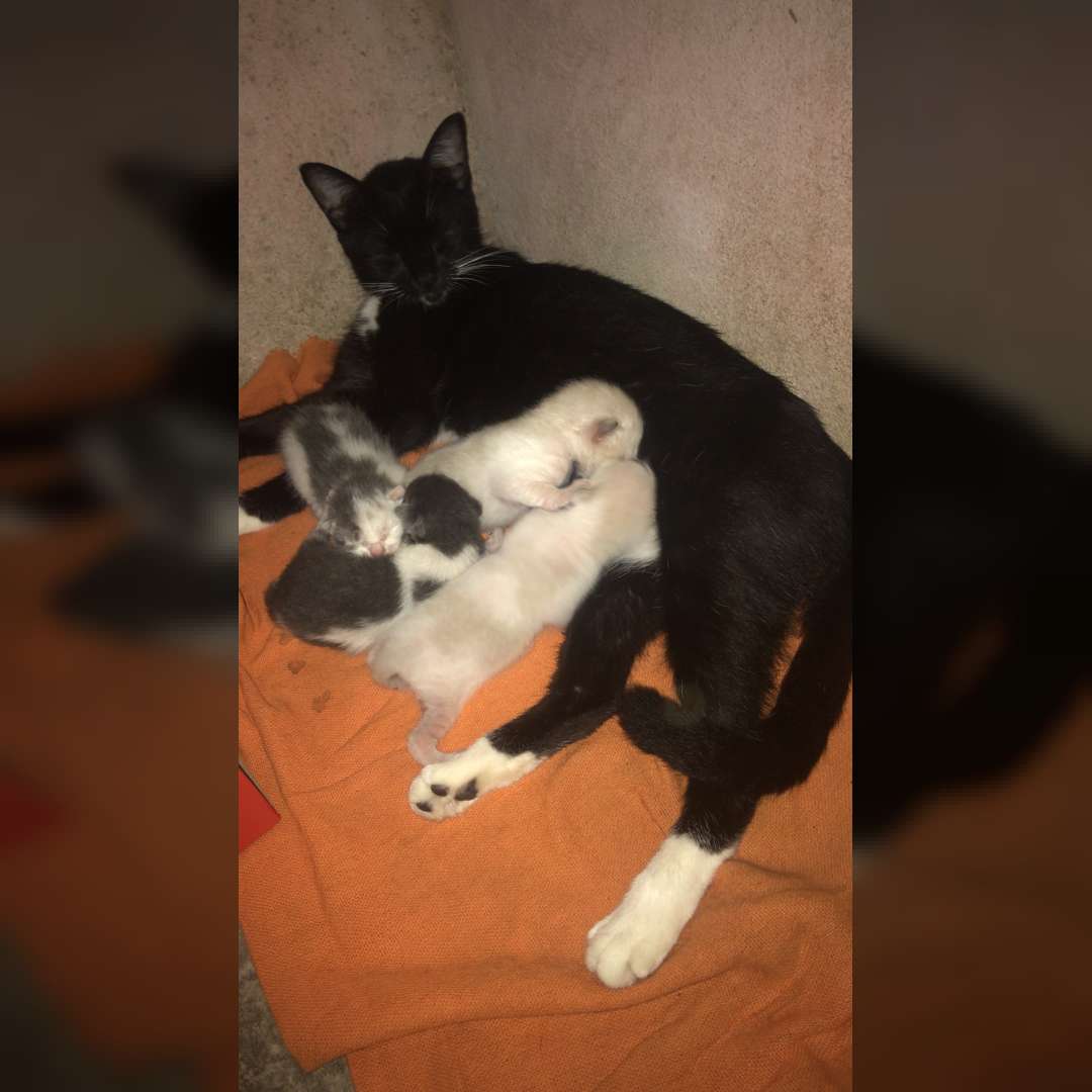 Ainda Não Tem Nome - 