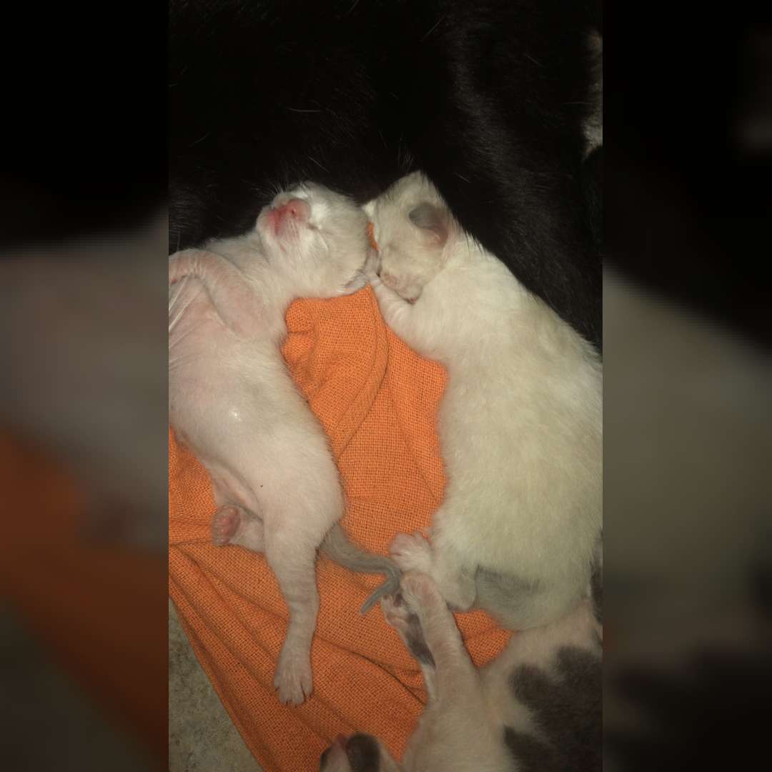 Ainda Não Tem Nome - 