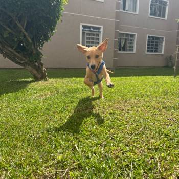 Billy imagem 1 - 