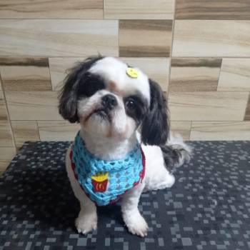 Marley imagem 1 - 