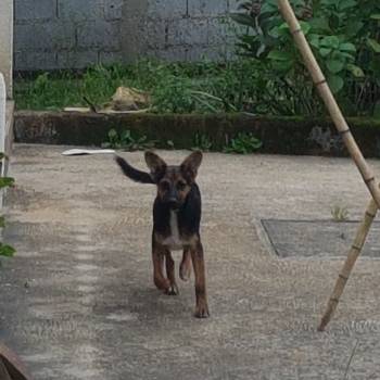 Ubih imagem 2 - 