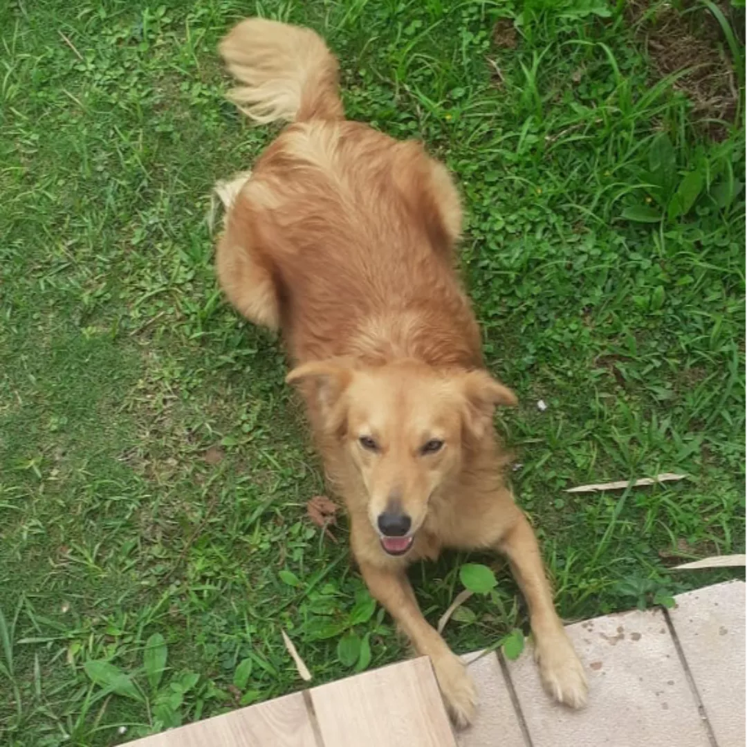 Beck - Sem Raça Definida