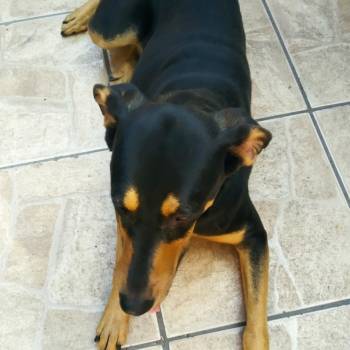 Princesa imagem 1 - 