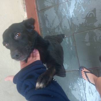 Bellynha imagem 2 - 