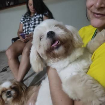 Théo imagem 2 - 