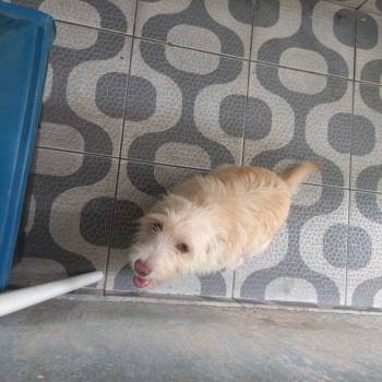Luna imagem 2 - 