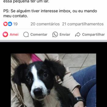 Luna imagem 1 - 