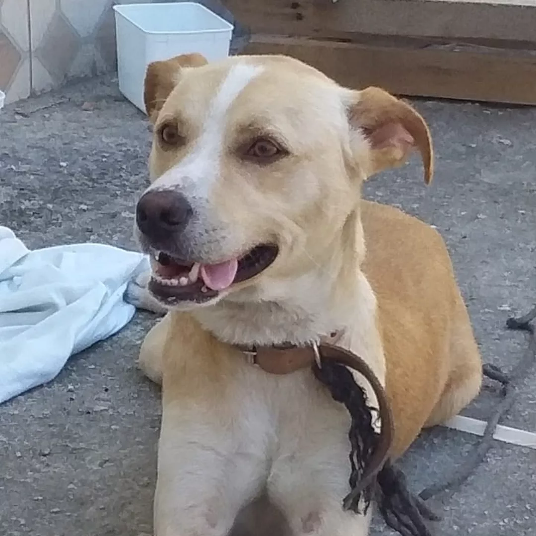 Jhon - Sem Raça Definida