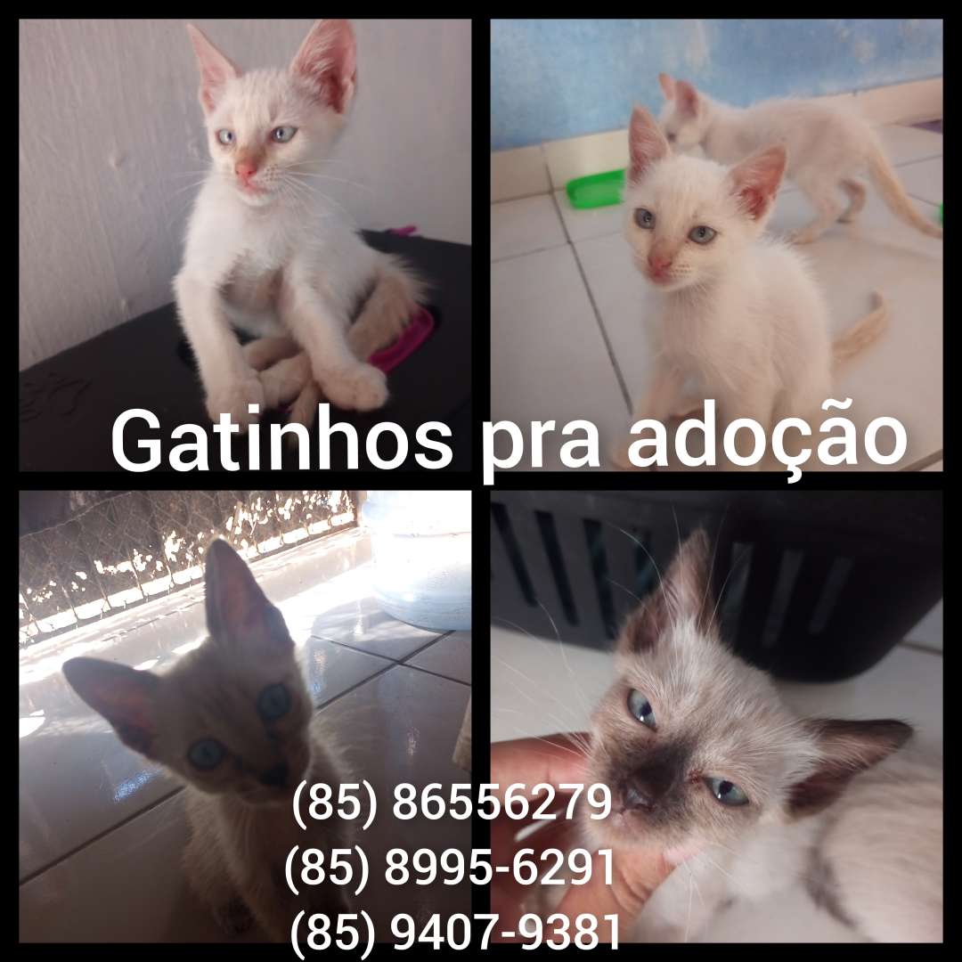 Michael Will Eric E Denzel - 